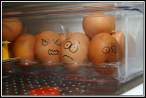 Eggs.jpg