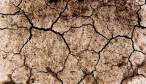 Dry Land.jpg