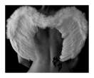 Dark Angel [+18].jpg