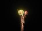 Firework Flowers.jpg