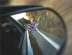 Side Mirror.jpg