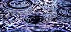 Drops.jpg