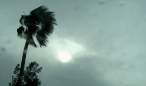 Storm Watch.jpg