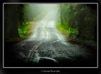 Road.jpg