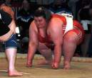 Sumo.jpg