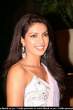 Copy of priyanka-chopra-99.jpg