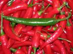 Hot Peppers.jpg