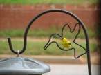 Bird.jpg