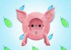 Pig.jpg