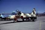 F-5E74-156557thFWWNellis1980.jpg