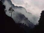 Fog.jpg