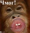 Lips.jpg