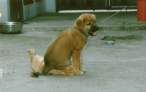 Sit.jpg