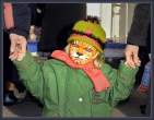 Tiger.jpg