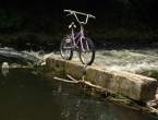 Bike.jpg