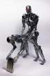 Terminator Kamasutra.jpg