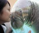 Kiss.jpg