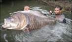 Nice catch.jpg
