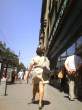 DSC09813.jpg