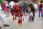 Donkey.jpg
