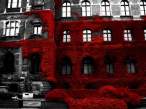 Red.jpg