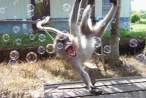Wild monkey.jpg
