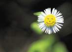 Smiling.jpg