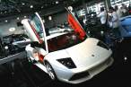 19936img4127122462lorh9.jpg