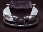 bugatti-veyron-pur-sang-03.jpg