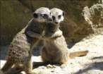 Hug.jpg