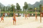 Volleyball.jpg