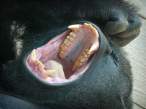 Feed me.jpg