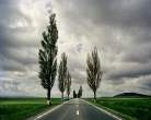 Long Way.jpg