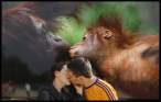 Kiss.jpg