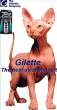 gilette[1].JPG