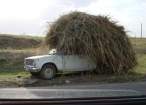 Hay stack.jpg