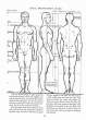 (eBook - English) Andrew Loomis - Figure Drawing - For All It's Worth_Page_019_Image_0001.jpg