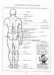(eBook - English) Andrew Loomis - Figure Drawing - For All It's Worth_Page_044_Image_0001.jpg