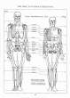 (eBook - English) Andrew Loomis - Figure Drawing - For All It's Worth_Page_049_Image_0001.jpg