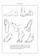 (eBook - English) Andrew Loomis - Figure Drawing - For All It's Worth_Page_179_Image_0001.jpg