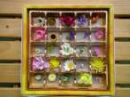 Flower home.jpg