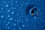 DSC_5193 Blue Screw and Water Drops - web.jpg