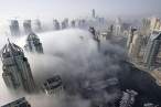 Fog.jpg
