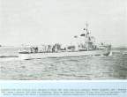 T-1.jpg