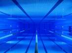 Swiming pool.jpg
