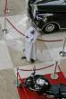 2122---UAE,-Dubai-interatio-7152329677-1.jpg