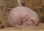 Sleepy.jpg