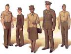 PlateII.jpg
