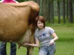Milking.jpg