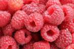Strawberry.jpg